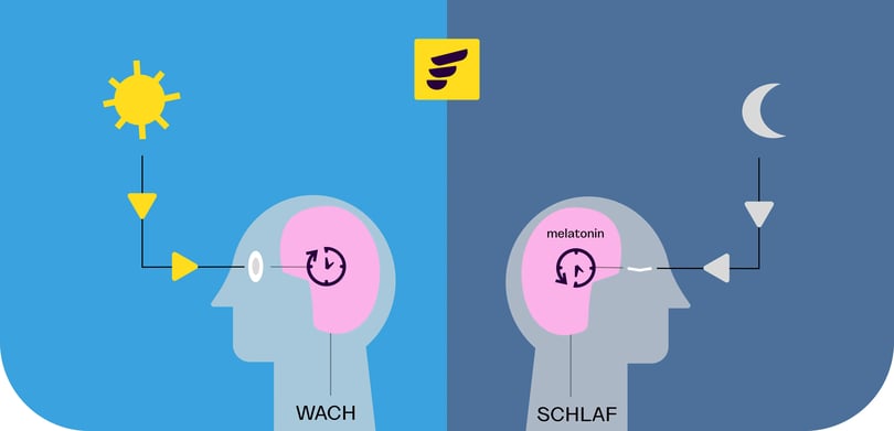 Grafik (1)